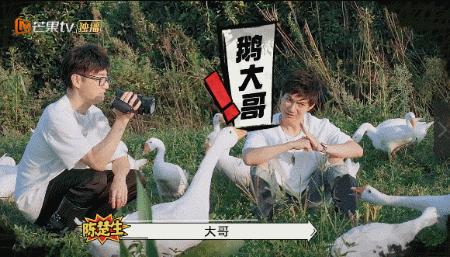 人是越来越红了，精神越来越不“正常”？