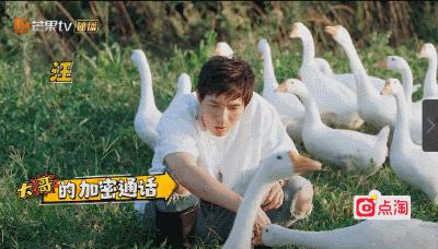 人变得越来越黄是怎么回事,为什么人的精神面貌会变