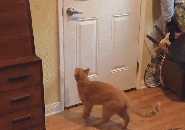 腮红口红眼线笔,腮红眼线笔套装