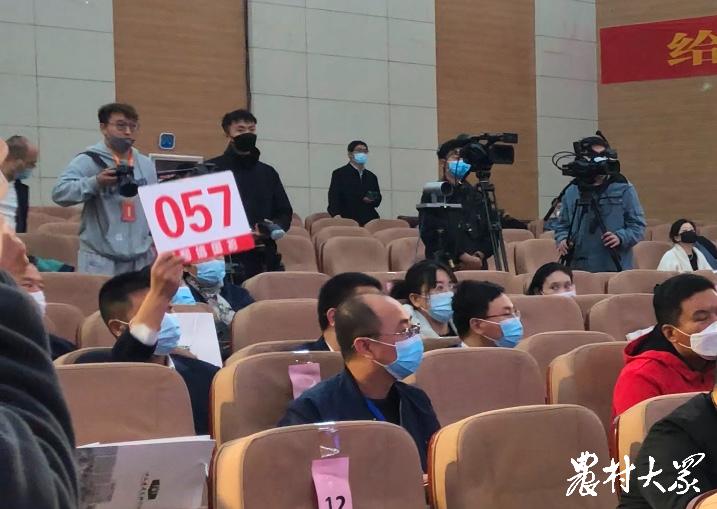 鲁单玉米种大全,玉米新品种鲁单513