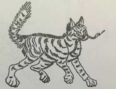 天狗吞月时间,直击天狗吃月