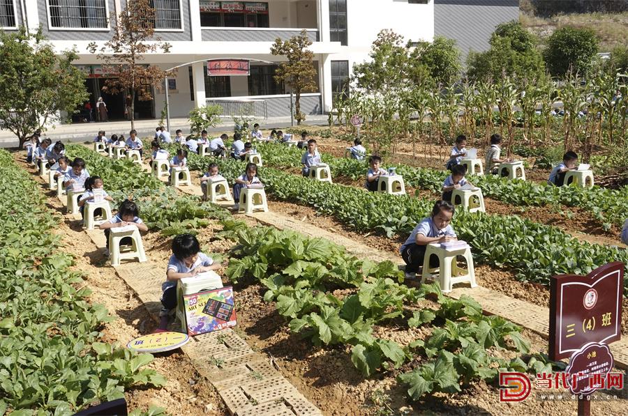 南宁市教育高质量发展行动方案,广西义务教育均衡发展评估标准