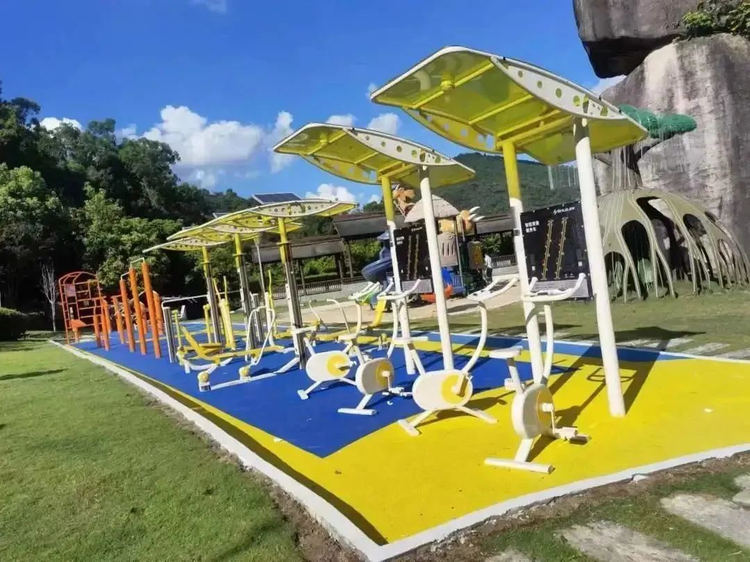 厦门运动景区,厦门周末好去处体育公园