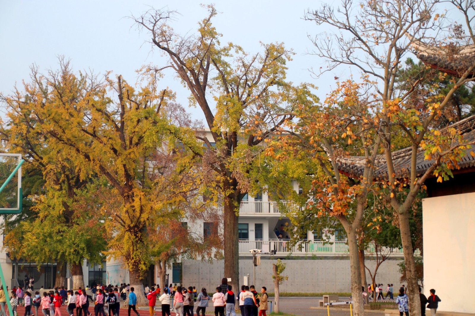 苏州美景图片大全大图,苏州水乡绝美的景色全景图