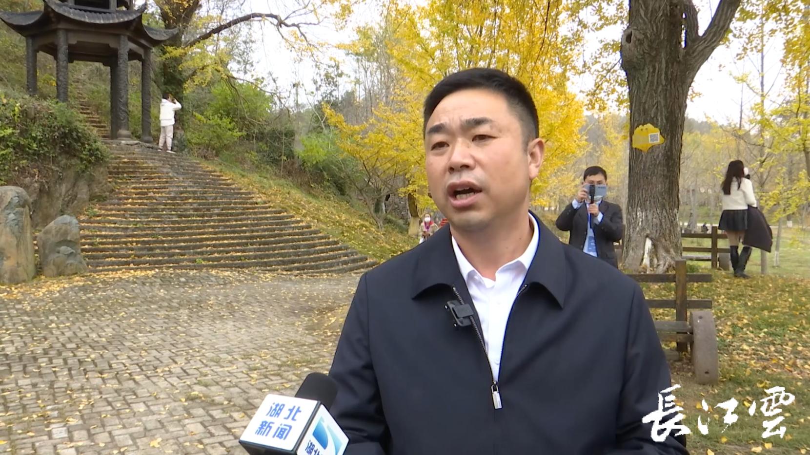 随州千年银杏谷11月能观赏吗,2018随州银杏谷观赏时间