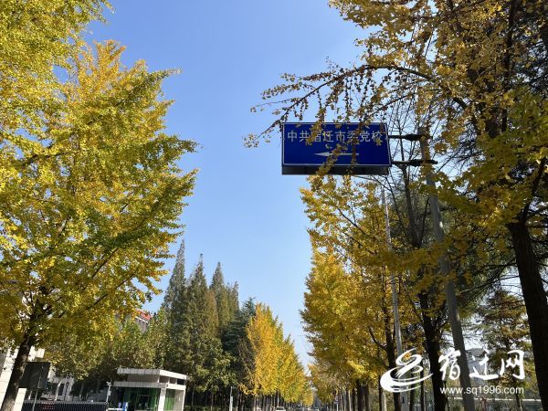 一眼心动光影写真,一眼心动的辽宁冬景