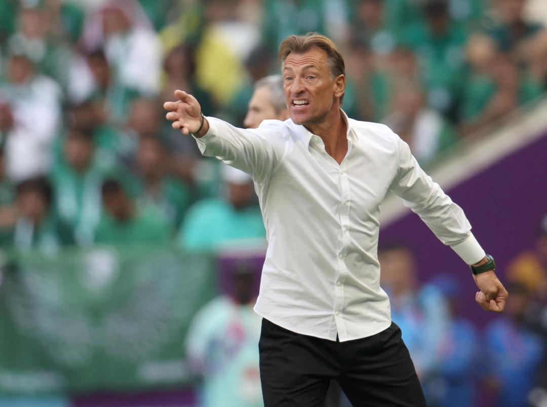 世界杯沙特阿拉伯主教练,世界杯沙特主教练分析