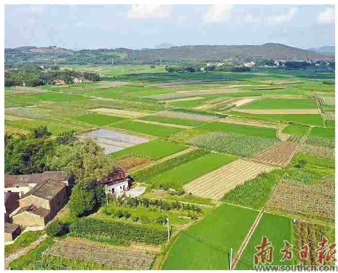 百年古镇注入时代活力,千年古镇未来蓝图已徐徐展开