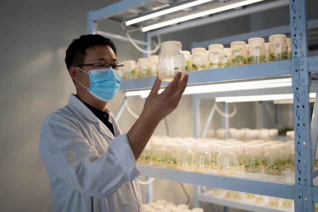 拼多多改革供给侧,拼多多三季度营收同比增长7倍