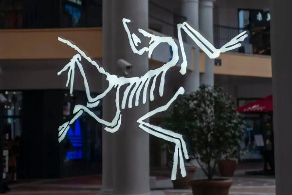 始祖鸟高端货源,始祖鸟品牌火了