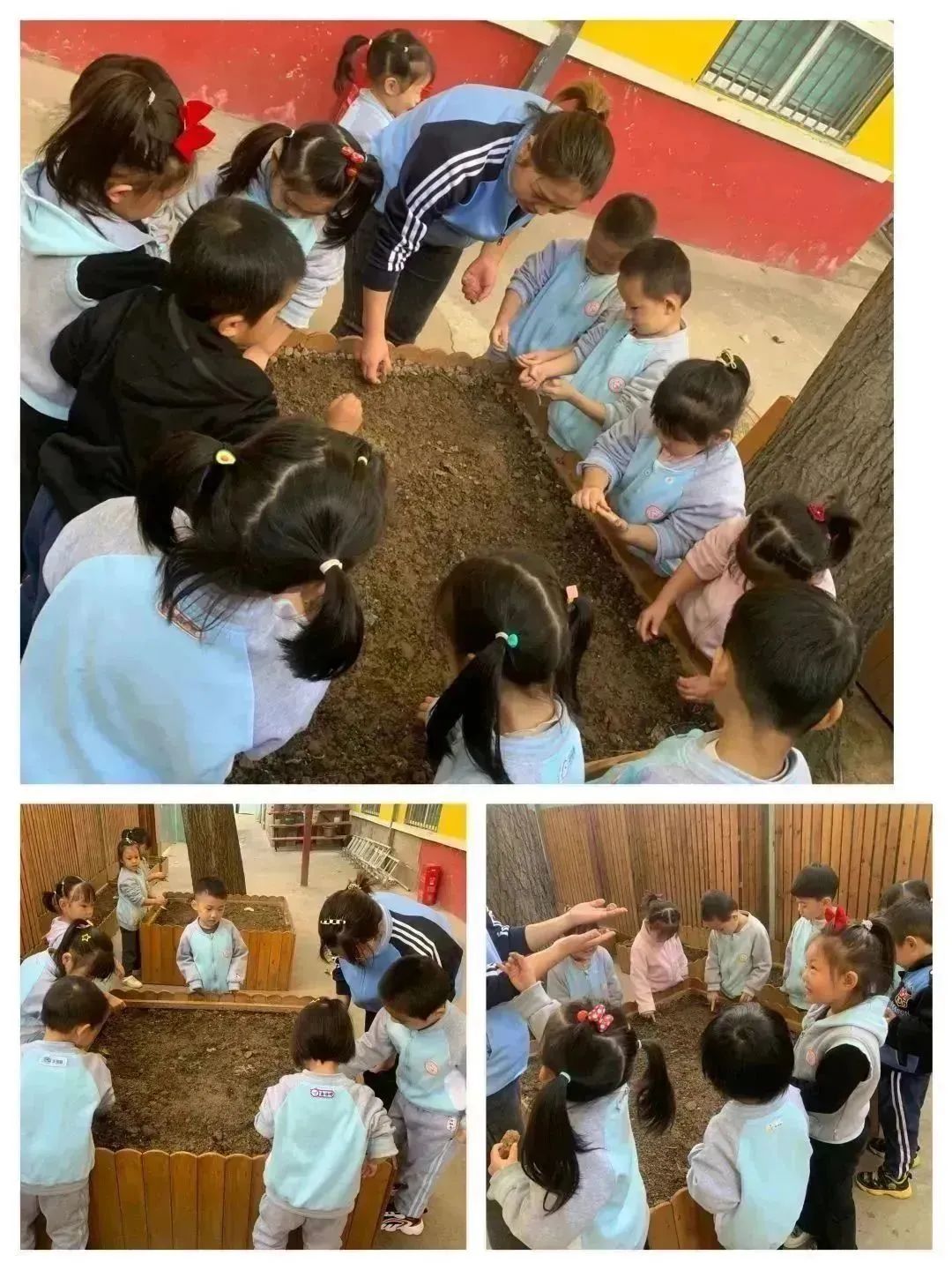 你好幼儿园主题活动方案,你好幼儿园活动