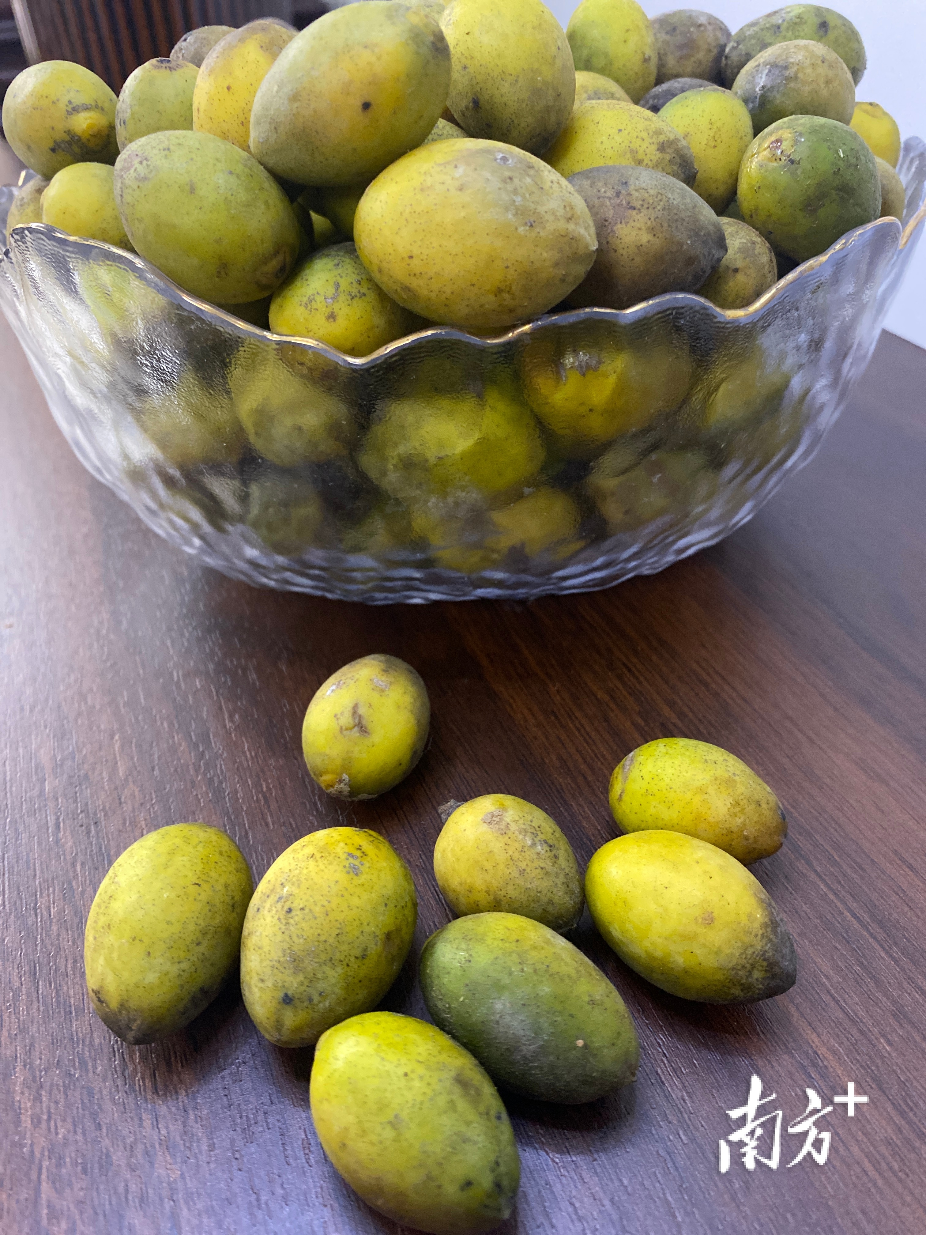 市面上好吃的橄榄有几个品种,橄榄的种类和区别