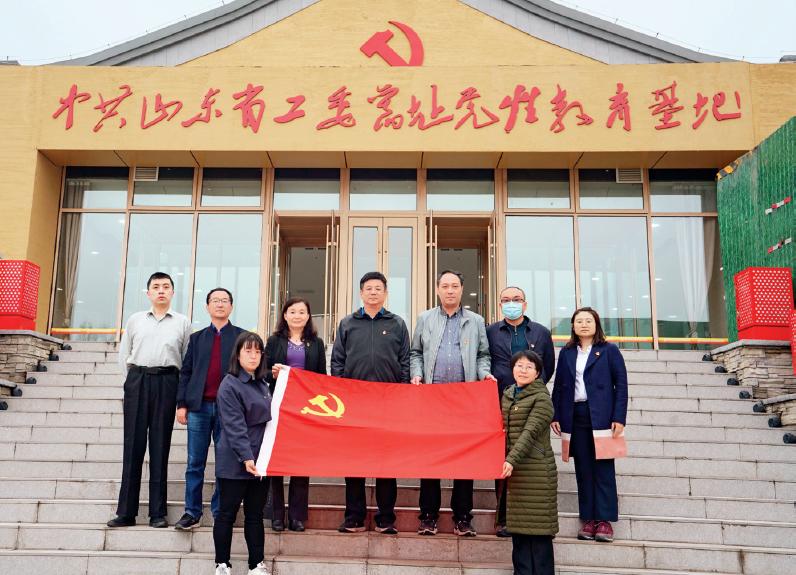 持续抓好党建三化建设,党建三化建设提质增效总要求