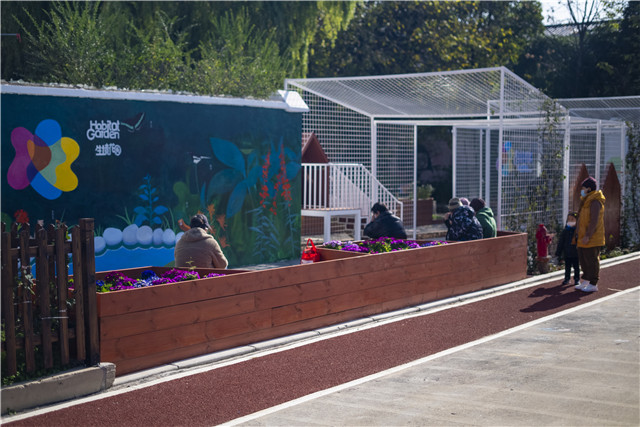 闲置地变身打卡地,“无忧谷”得名自青年“诸葛团”