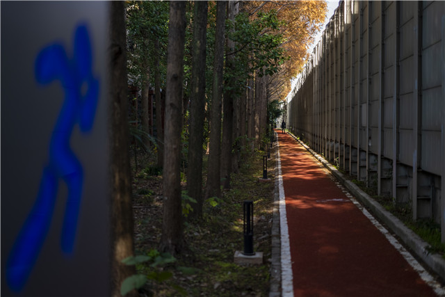 闲置地变身打卡地,“无忧谷”得名自青年“诸葛团”