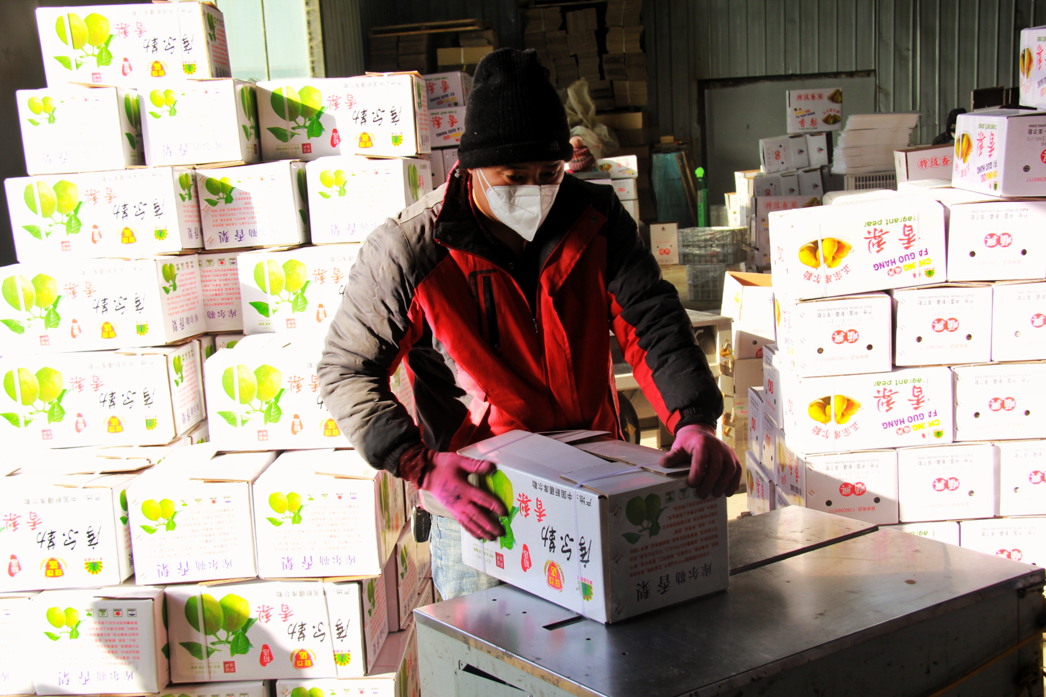 库尔勒库存香梨的最佳销售时间,库尔勒香梨销售旺季