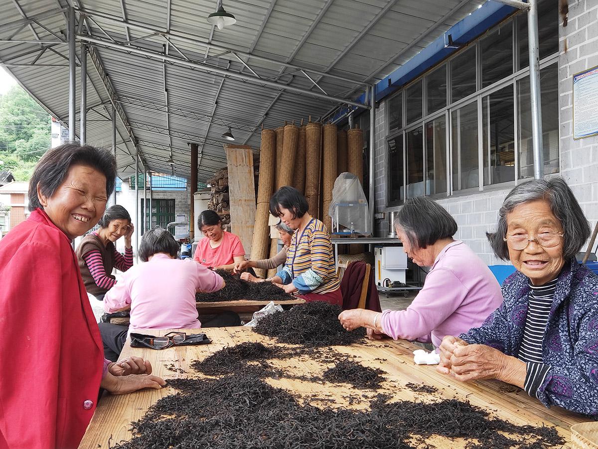 烟溪工夫红茶的功效与作用,烟溪工夫红茶