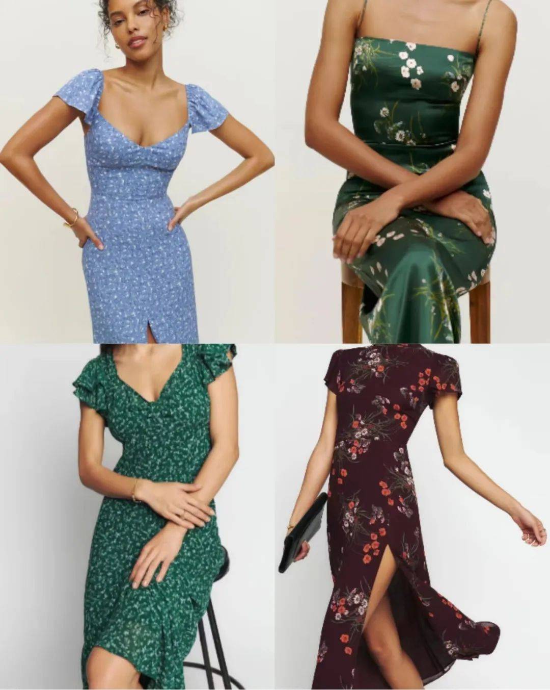 加拿大鹅到底有多受欢迎,加拿大鹅有多受欢迎