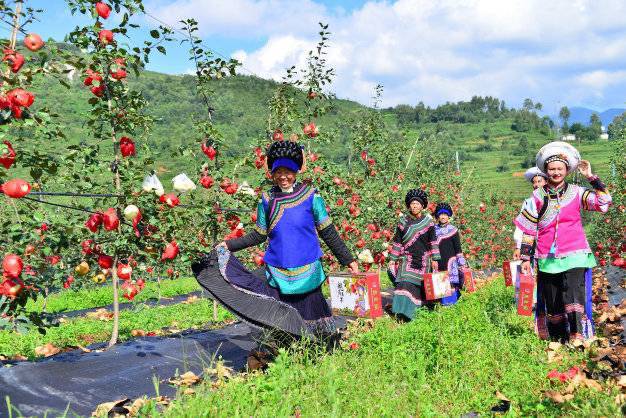 陈路越西县委书记,陈路任越西县委书记