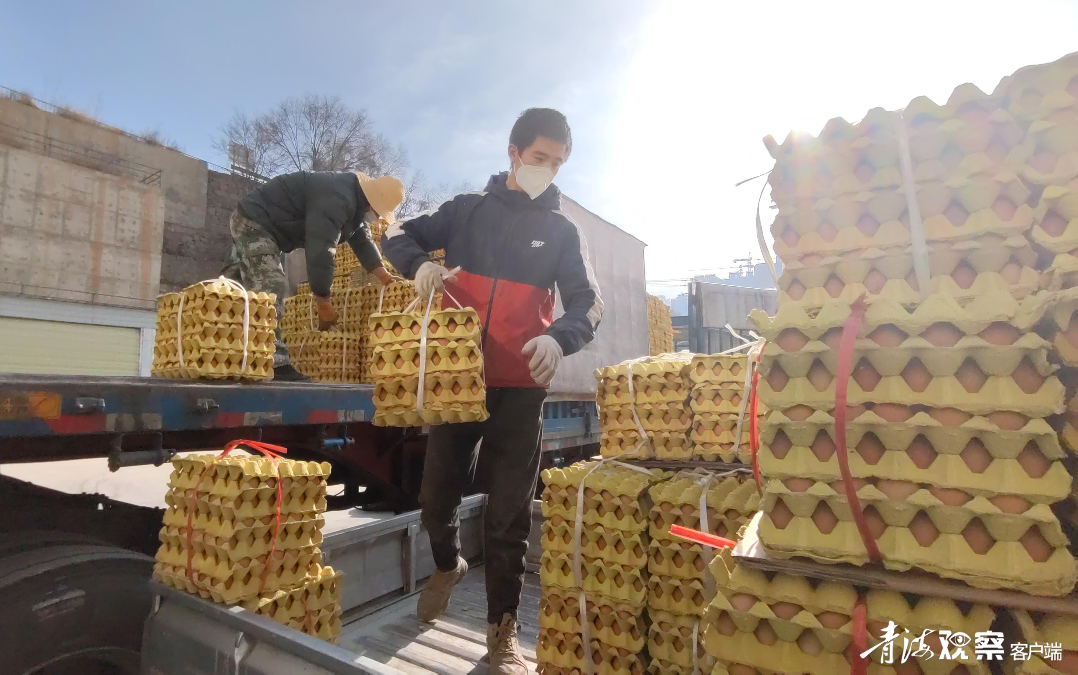 “数字赋能”激发青海商务新活力