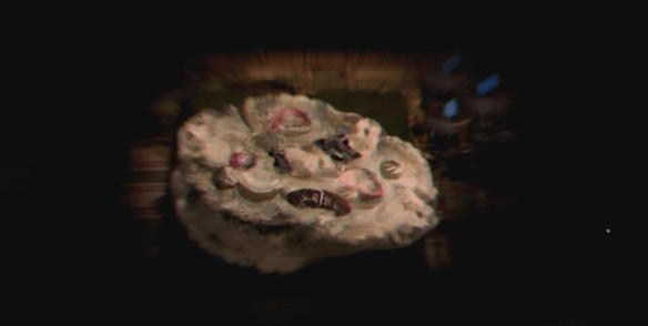 什么游戏最适合放假的时候玩,推荐元旦节日玩什么游戏