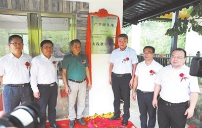 中国国际中医药论坛暨广东省第三届南药产业大会　旅游推动中医药文化传承