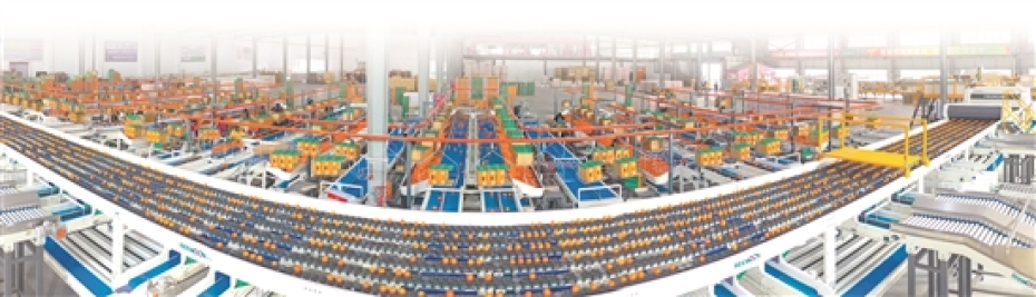 双强行动柑橘产业高质量发展,聚焦农民增收致富