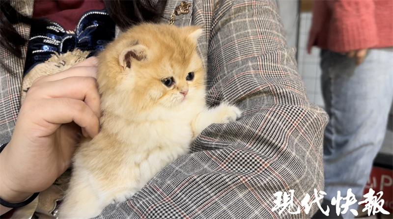 褰撲笅缁忔祹閽卞幓鍝簡,浠庣粡娴庤搴︽潵鐪嬮挶閮藉幓鍝簡