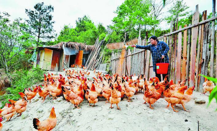 辛巴辛有志助农,辛巴辛有志捐款助农