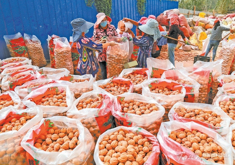 当*疆新**“土特产”登上“832平台”