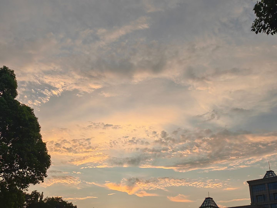 38岁单身高校教师被催婚15年，因父母不给经济支持买不起房，条件悬殊没能和喜欢的女孩结婚