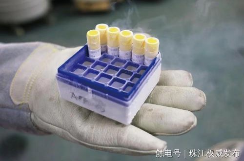 捐精志愿者合格率仅20%专家:远高于正常生育标准