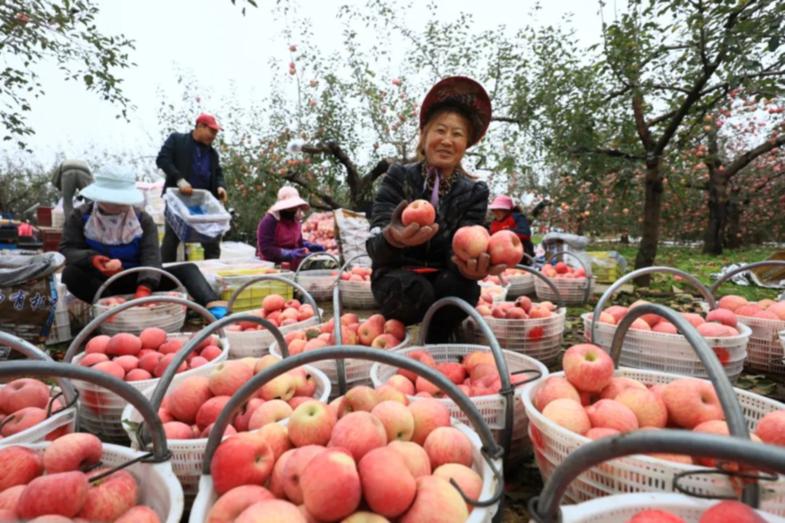 时政类书,时政类书籍畅销