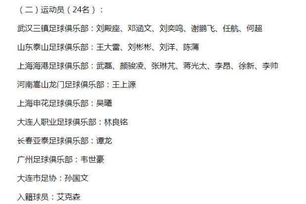 扬科维奇治下的国足变化与挑战,新帅扬科维奇出奇招力争开门红