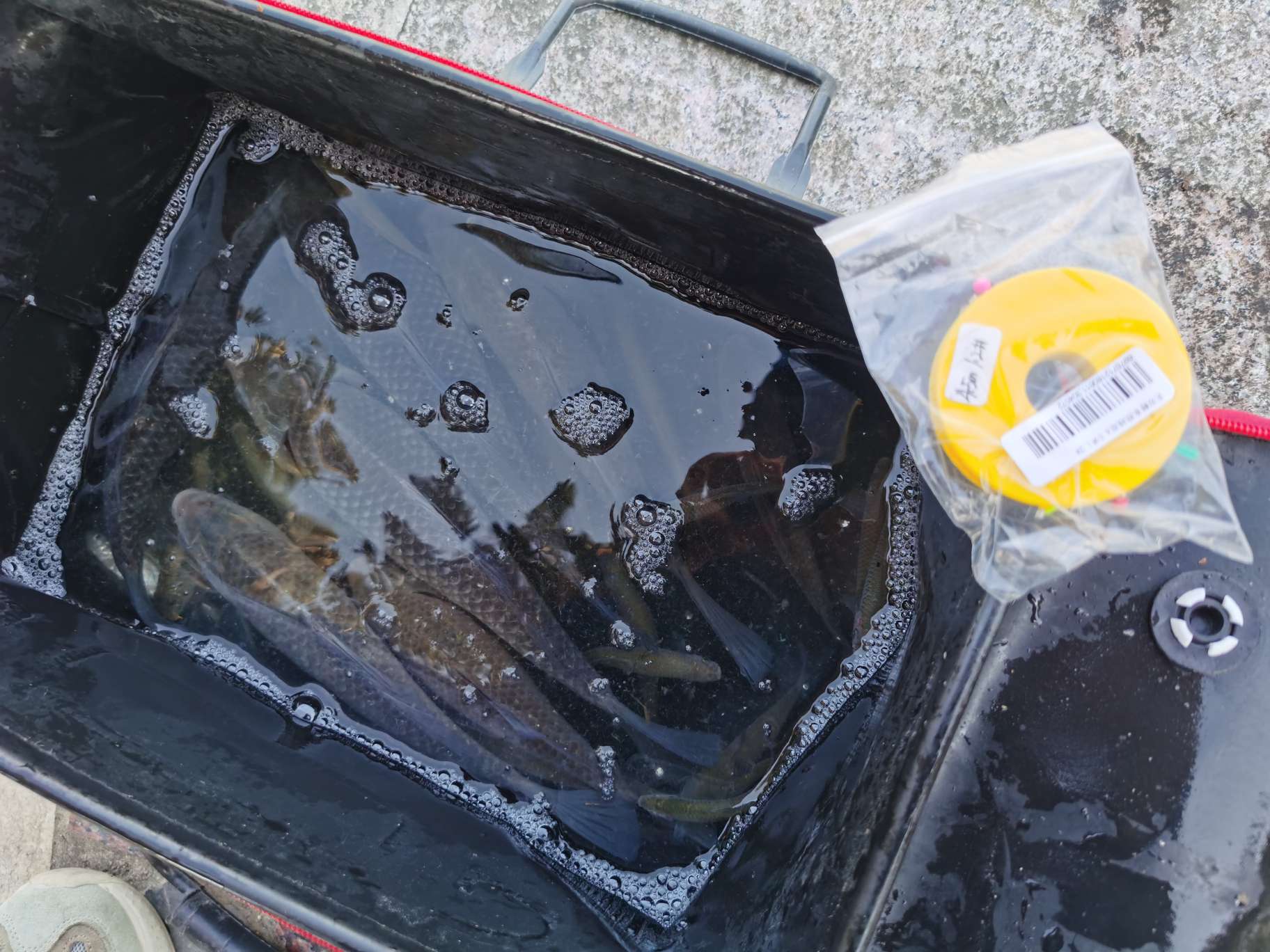 无双鲤刚劲版钓鱼竿,无双鲤典藏版鱼竿什么样