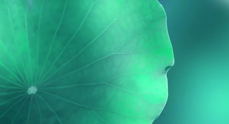 烟台中韩产业园位置图,中韩烟台产业园是由哪批复的