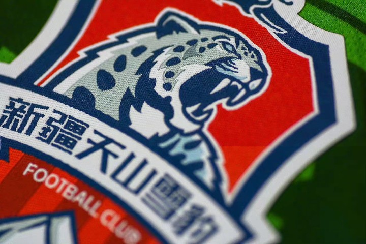 哪些球队退出职业联赛,为什么那么多球队退出职业联赛