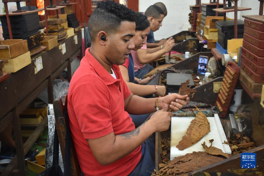 走进古巴雪茄文化,古巴雪茄纪录片