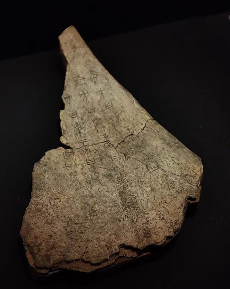 赵孟頫书法展,一周观展指南书画