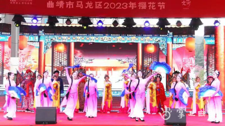 曲靖马龙樱花节,美景美食等你来