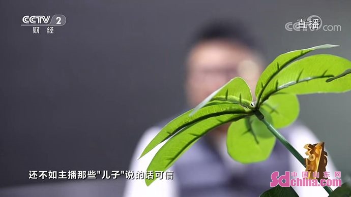 315曝光苦情戏直播专骗老人买药,315直播晚会曝光苦情戏