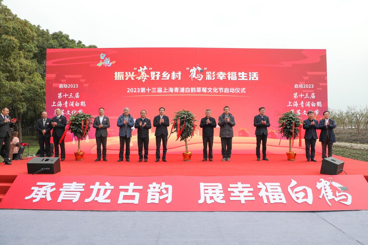 2022美丽乡村文化节,美丽乡村文化节