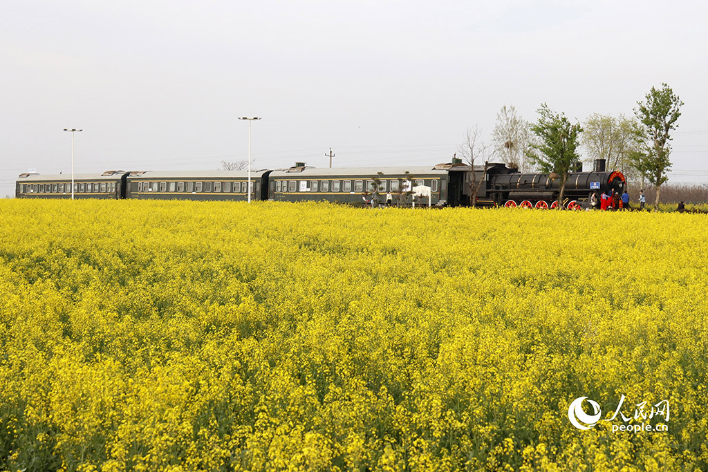 春天花“卉”开朵朵含情迎客来