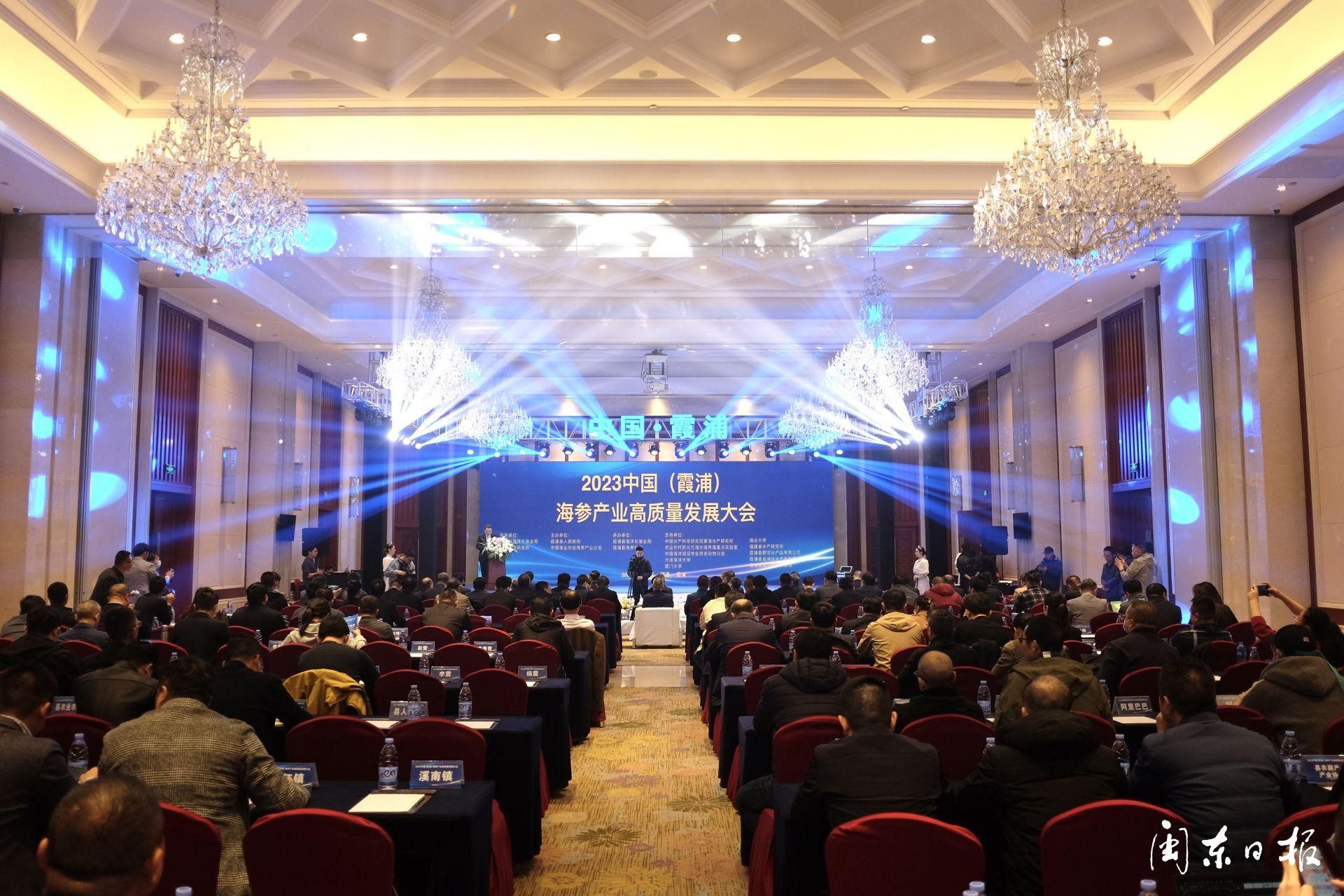 2023年霞浦海参前景,霞浦海参龙头企业