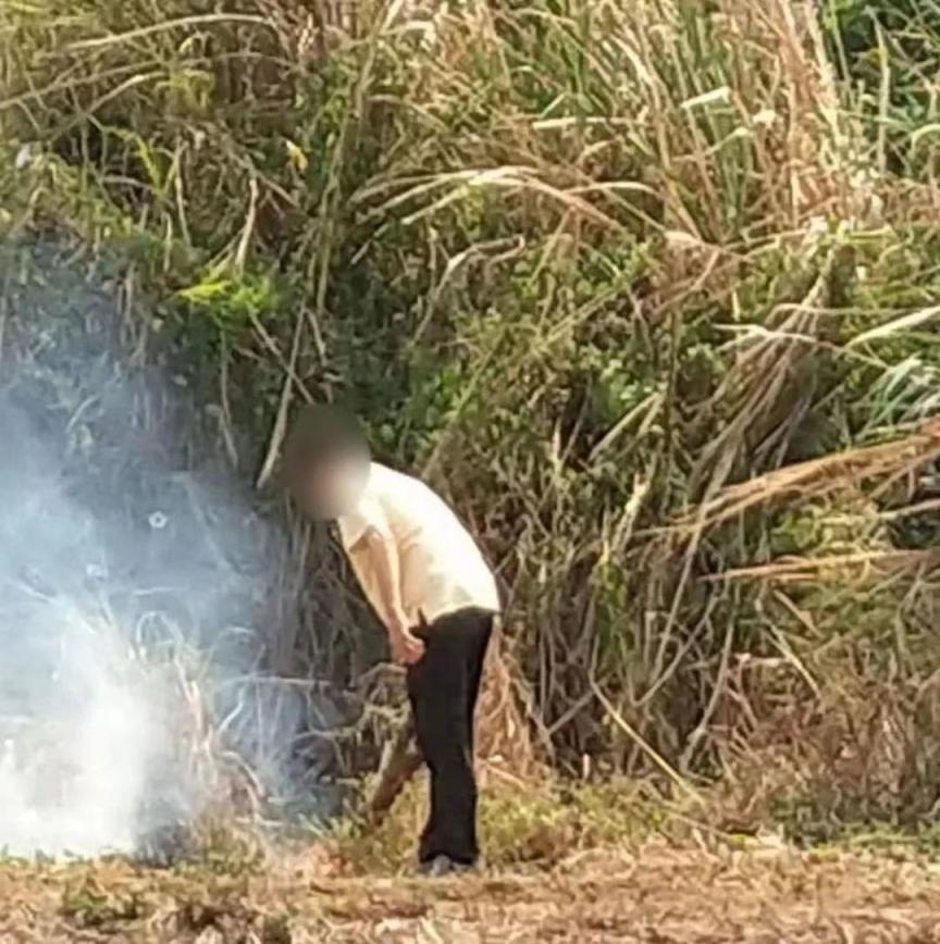 上坟不让烧纸条例,上坟烧纸的法律规定
