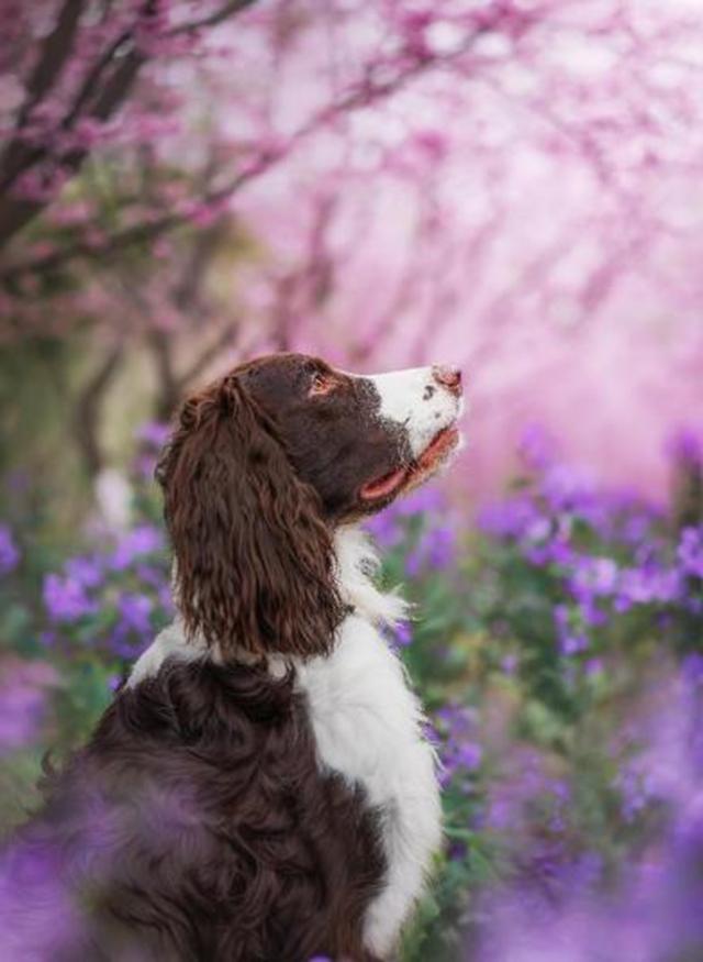 新品丨三镜齐发，17mm、50mm、23mm灵动登场！