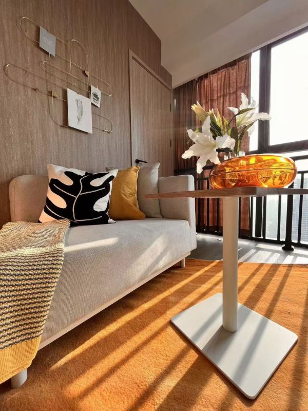 青山区最大保租房项目,华润有巢公寓上市受热捧