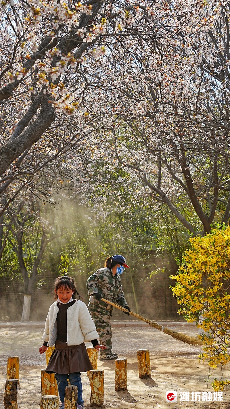 潍坊金宝乐园导游图高清,潍坊金宝乐园实体拍摄