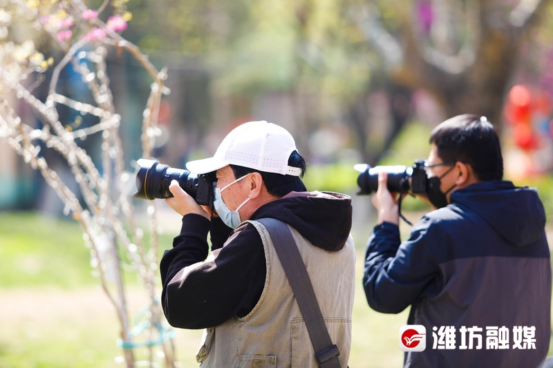潍坊金宝乐园导游图高清,潍坊金宝乐园实体拍摄