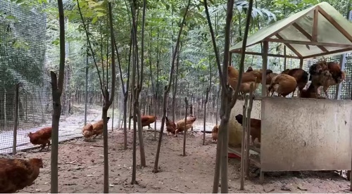 农村小伙回农村创业做农产品电商,小伙子返乡创业帮农民卖出农产品